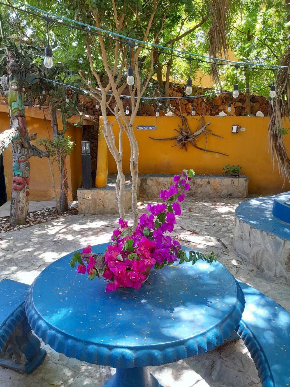 Готель Steviewonderland Playa El Yaque Екстер'єр фото