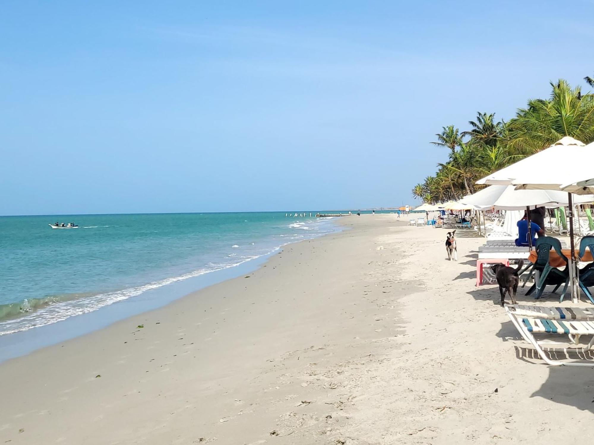 Готель Steviewonderland Playa El Yaque Екстер'єр фото